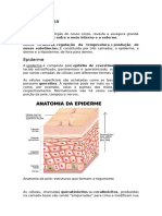 Pele Humana