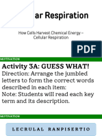 Cellular-Respiration - PPT 20241030 203632 0000