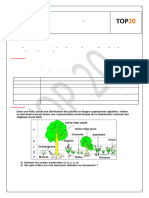 Série Avec Correction Les Techniques Adaptatives À L'étude Écologique Sur Le Terrain