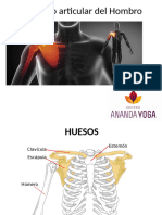 Complejo Articular Del Hombro