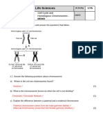 Act 17A CHROMOSOMES AND CELL CYCLE MEMO