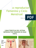 2claseap Reproductorfemeninoyciclomenstrual