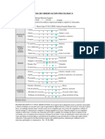 Ficha de Observacion Psicologica de Axel Richard Belizano Pazapera