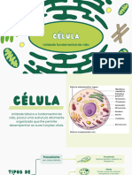 Biology Cell Presentation in Green White Illustrative Style