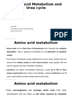 Amino Acid Meatbolism and Urea Cycle