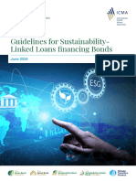 Guidelines For Sustainability Linked Loans Financing Bonds June 2024