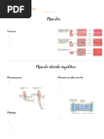 Fisiologia Muscular