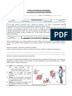 Ciencias-Naturales-5°-Guía-1 Organizacion de Seres Vivos 3