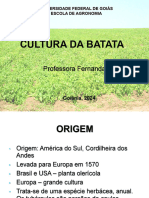 Aula 10. Cultura Da Batata