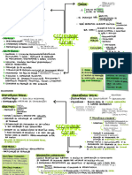 Direito Previdenciário MAPA MENTAL AULA 00