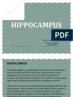 Hippocampus