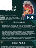 Caso Clínico: Cálculo Renal: Disciplina Ntegrantes Professora