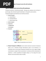 2nd Lect. Type of Transportation