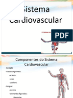 Sistema Cardiovascular