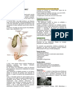 Doenças Das Vias Biliares