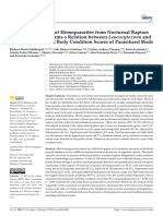 2023 - A Four-Year Survey of Hemoparasites From Nocturnal Raptors (Strigiformes) Confirms A Relation Between Leucocytozoon and Low Hematocrit and Body Condition Scores of Parasitized Birds