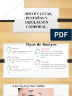 Curso de Cejas