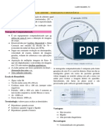 Anatomia Do Abdome