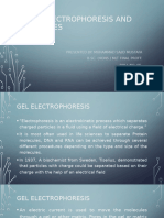 Electrophoresis and Its Types