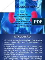 Trabalho de Insuficiência Renal Apresentação