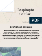 Bioenergética - Respiração Celular