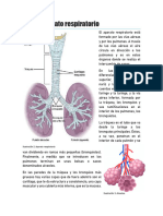 3 Aparato Respiratorio