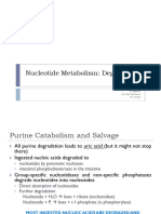 Nucleotide Catabolism