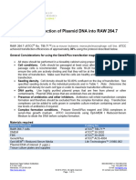 Genex Transfection of Plasmid Dna Into Raw 264.7 Cells