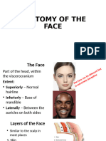 Anatomy of The Face 2024