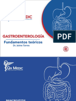 Rm2025 - Fundamentos Teóricos - Gastroenterología