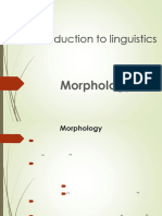 Morphology