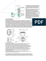 Medical Embryology Urogenital System Summary