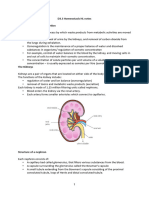 D3.3 Homeostasis HL Notes