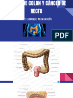 Cáncer de Colon y Ca de Recto