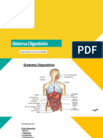 Unidade 1 - Sistema - Digestorio