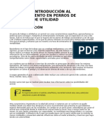 Modulo 5 Introduccion Al Adiestramiento en Perros de Trabajo o de Utilidad