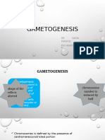 Gametogenesis New