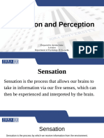 Week 3 - Sensation and Perception