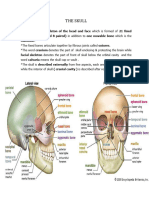 Head and Neck Dr. Wahdan - @medicine - Way2