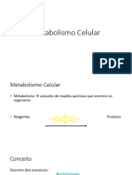 Metabolismo Celulaaaaaaar