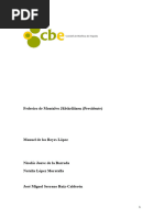 Informe CBE Seguridad Paciente