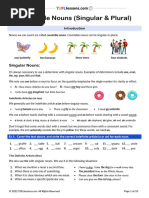 Countable-Nouns-Student-Copy A1