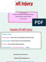 Cell Injury Dr. Sarah Alsawmhi