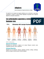 Aparatos Biológicos