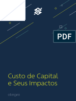 Custo de Capital e Seus Impactos