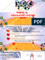 Circulatory System TOPIC 4