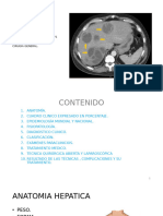 Absceso Hepatico