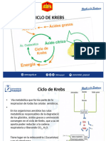 Ciclo de Krebs