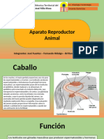 Jose Fuentes Aparato Reproductor Animal