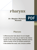 Pharynx